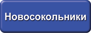 ТВ-ком Новосокольники